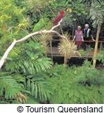 ワイルドハビタット