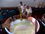 イタリア　チーズ工場見学