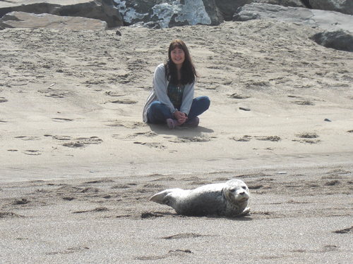 baby seal & me