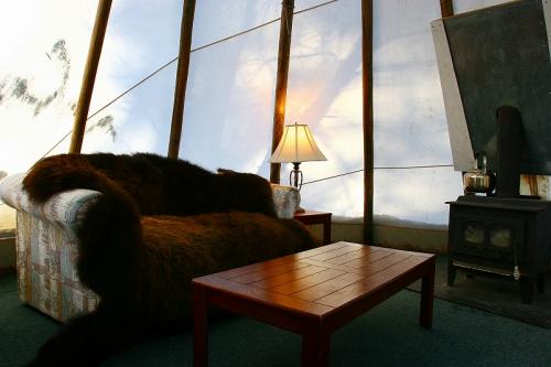 イエローナイフ