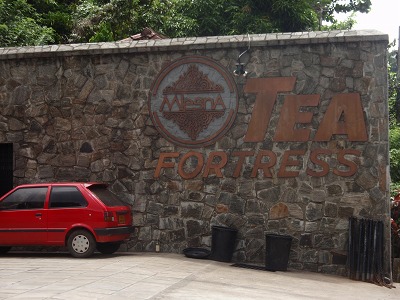 MelsnA Tea factory