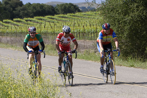 Solvang Cyclists