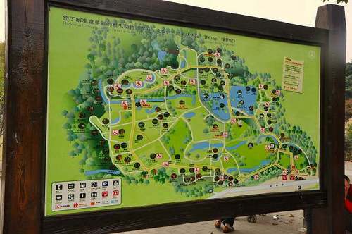 上海動物園06