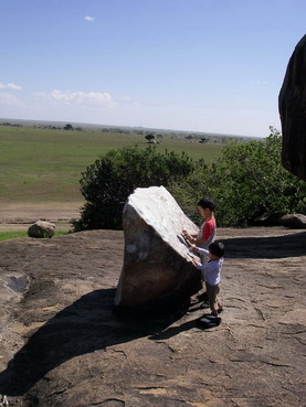 Serengeti rock