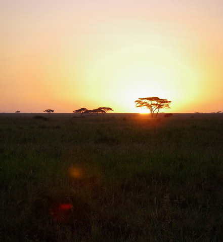 Serengeti Sunrise2