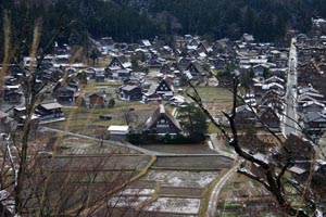 木々の透き間から