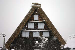 新しい茅葺き屋根に新雪が最高
