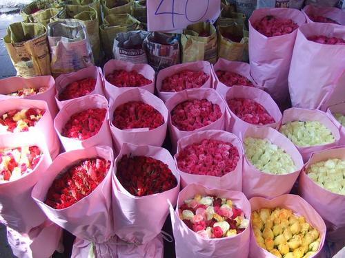 バンコク 花市場