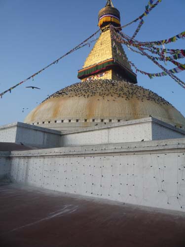 ボーダナート 4