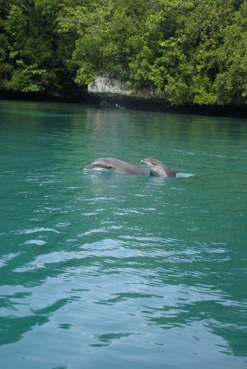 可愛い男の子♪