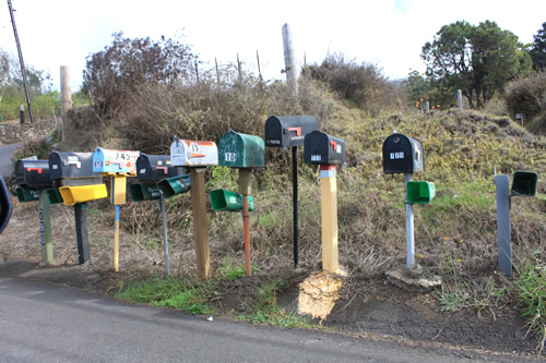ハワイ島でも見た郵便受け大集合