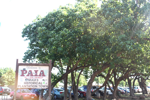 パイアの街に到着!