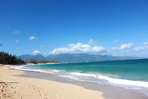 きれいなブルーグリーンの海