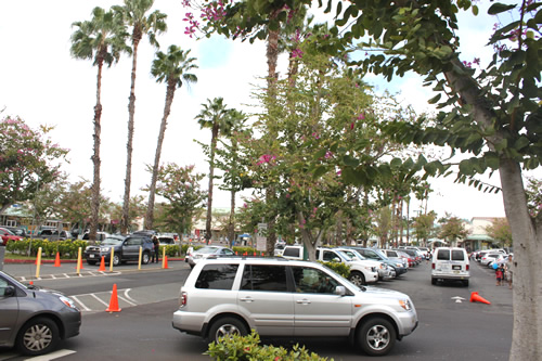 手前の車は駐車待ち行列中