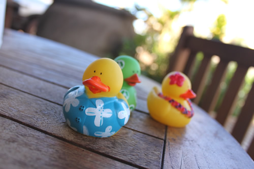 お土産アヒルちゃん