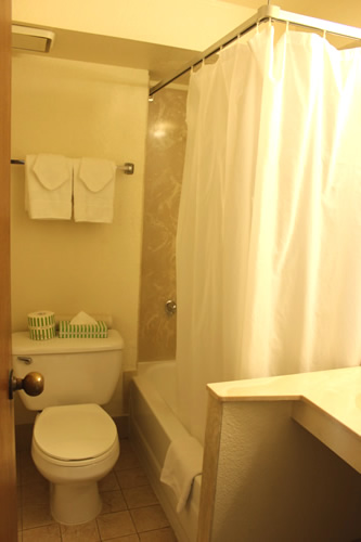 バス&トイレは清潔だったのでよしとします