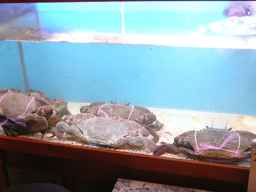 ゴールドコースト02