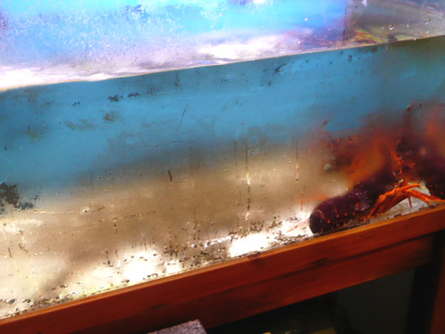 ゴールドコースト03