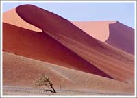 世界最大砂丘２