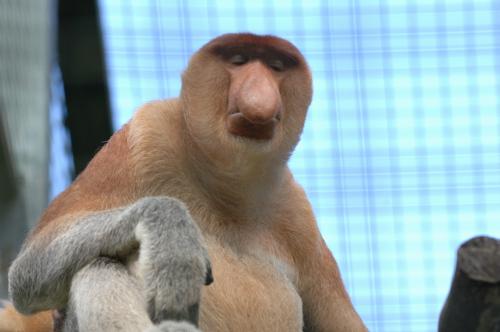 近くで見るとこんな顔〜