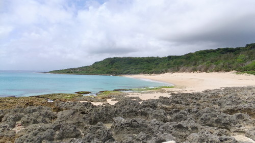 沙島の砂浜は保護区となって立入禁止