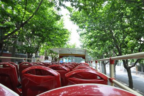 オープントップバス7