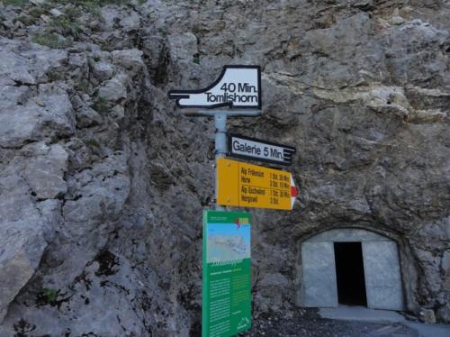 トムリスホルンへの標識40分