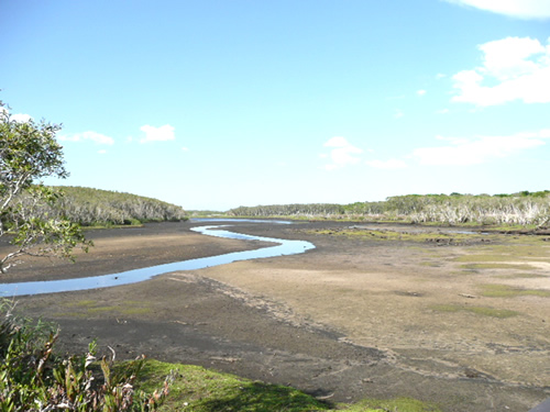 バイロン・アット・バイロン15