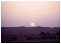 サハラ砂漠を歩いて渡る3