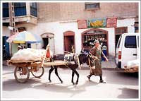 西域・カシュガル 1