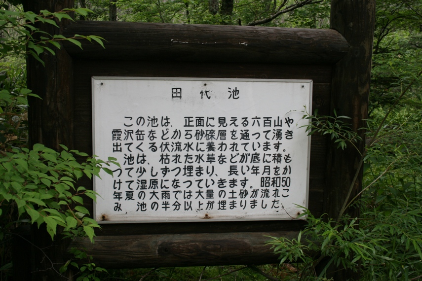 大正池〜河童橋〜明神池009