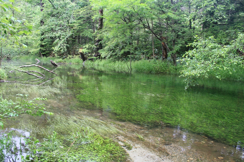 大正池〜河童橋〜明神池014