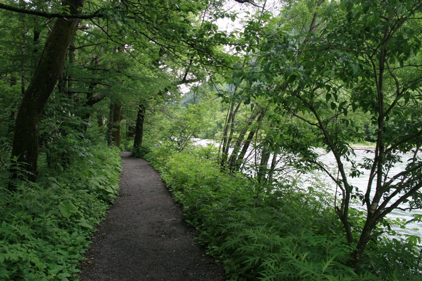 大正池〜河童橋〜明神池019