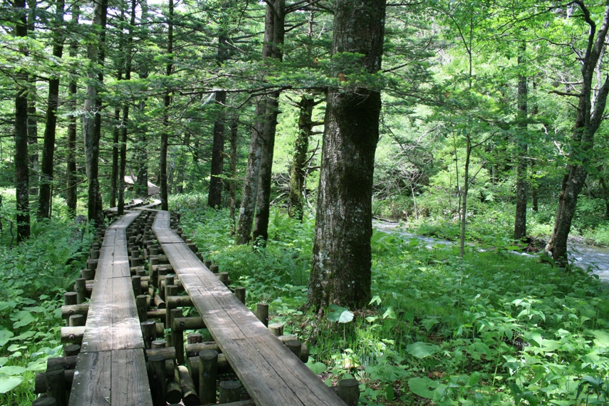 大正池〜河童橋〜明神池046