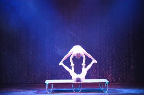 パワーパフォーマンス6