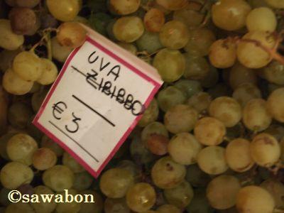 パンテレリア14