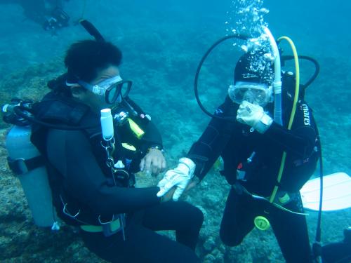 認定ダイビング