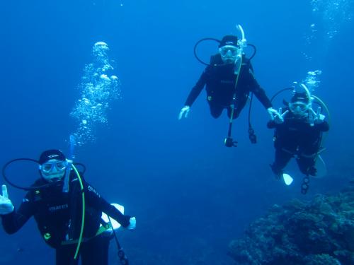 水中ツアー