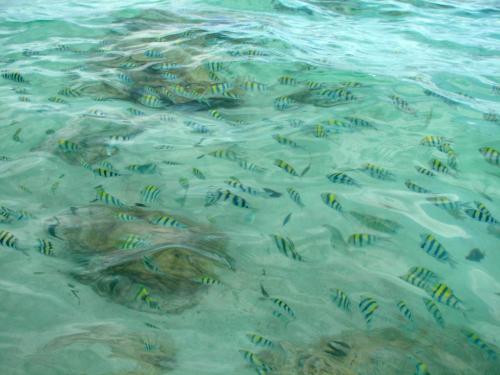 チャウエンノイビーチ 北側