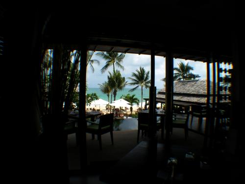 ニュースターリゾート