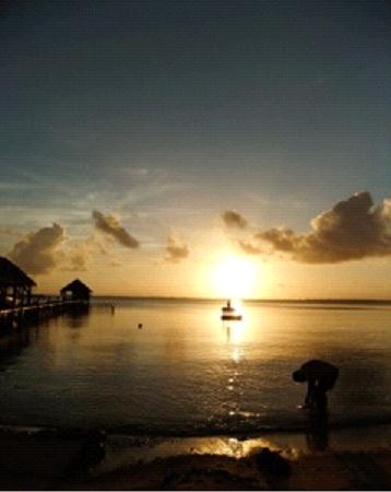 タヒチ ファカラバ島 ダイビング