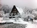 白川郷周辺 真冬の景色に舞い戻り