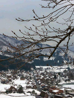 昨日3月28日の状況