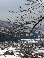 昨日3月28日の状況