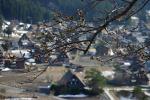 4月19日 白川郷天守閣展望台 サクラの