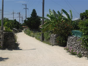 竹富島・水牛車7