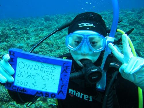ダイバーになっちゃった!