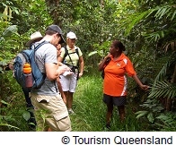 100%アボリジナル!