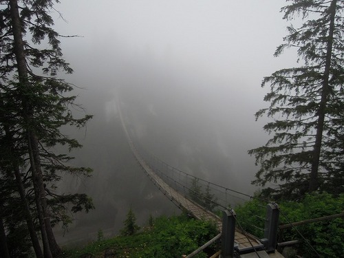 霧の中のつり橋
