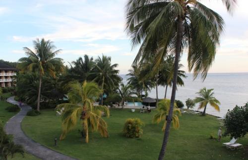 客室からの眺望